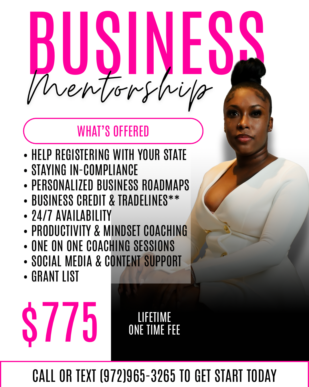 Business Mentorship (lifetime)