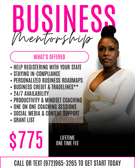Business MentorShip (lifetime)